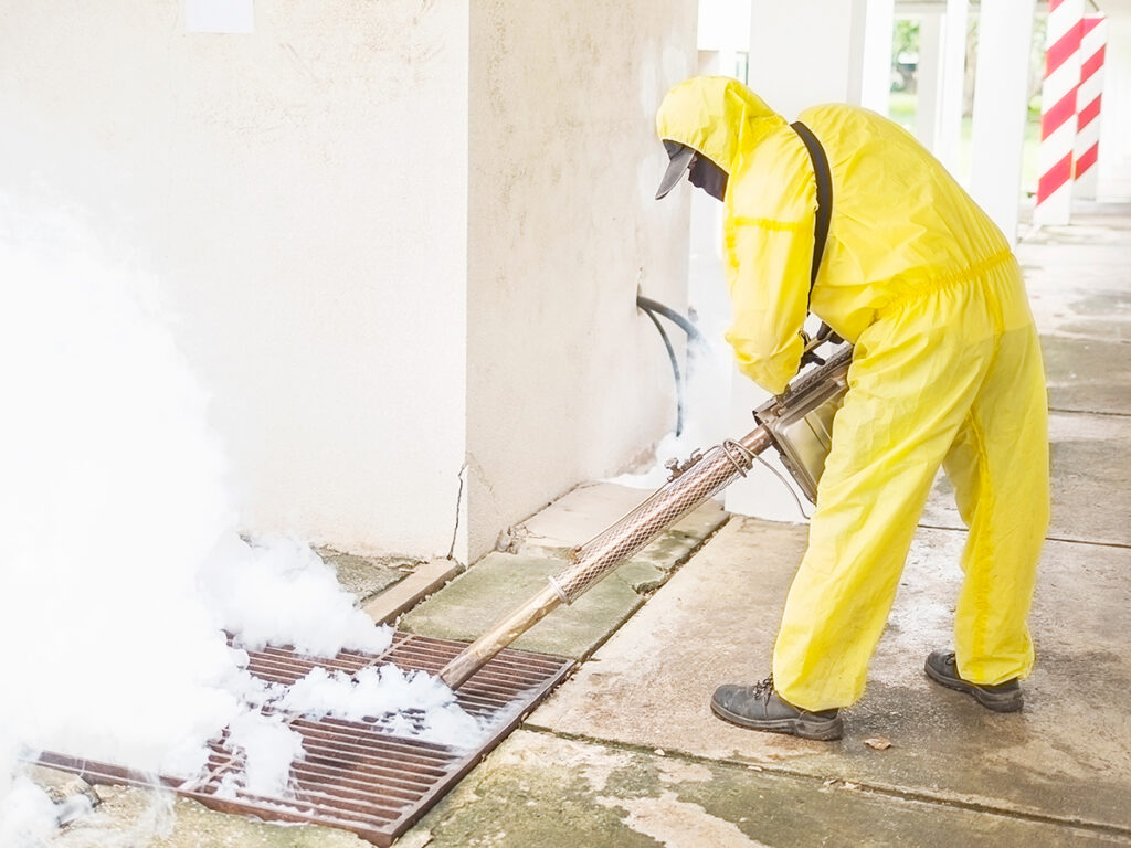 haze disinfection