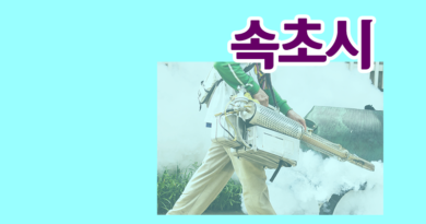강원도 속초시