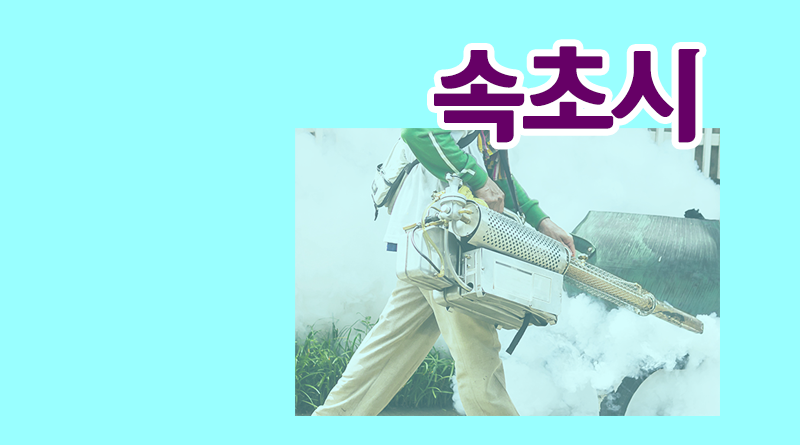 강원도 속초시