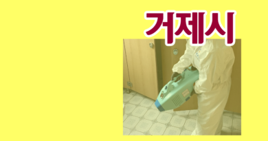 경상남도 거제시