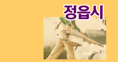전라북도 정읍시