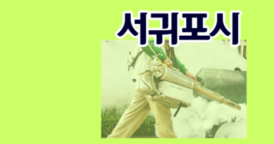 제주도 서귀포시
