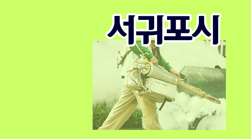 제주도 서귀포시